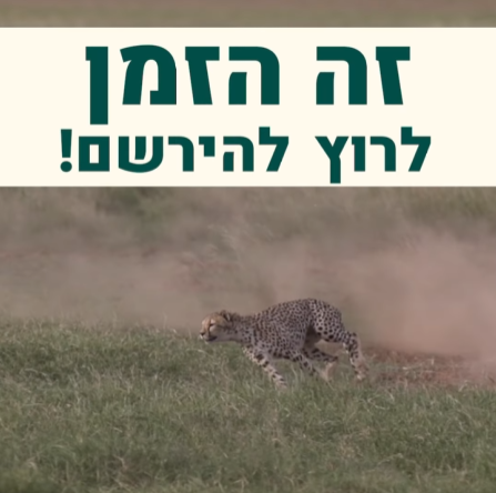 מכללת אורנים: הזדמנות אחרונה